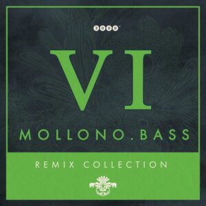 VA - Mollono.Bass - Remix Collection 6 [3000GRADCD019D]
