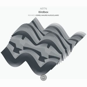 ARTN - Birdbox [OOAK138]