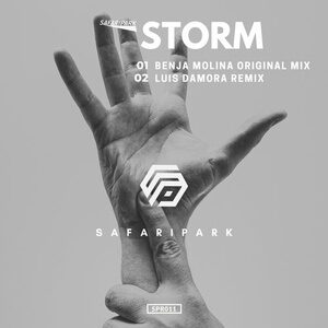 Benja Molina - Storm [SPR0011]