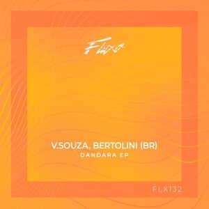 Bertolini (BR), V.Souza - Dandara [FLX132]