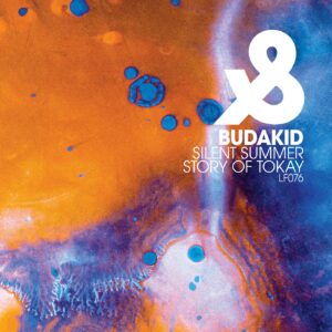 Budakid - Silent Summer / Story Of Tokay [LF076D]