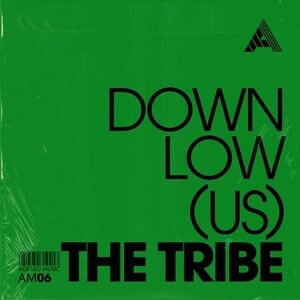 DOWNLow (US) - The Tribe - Extended Mix [AM06]