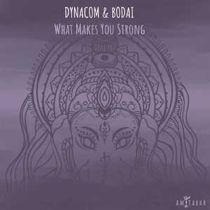 Dynacom (ARG), Bodai - What Makes You Strong [AMIT026]