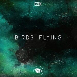 Ezek - Birds Flying [VSN069]