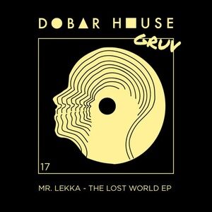 Mr. Lekka - The Lost World EP [DHGRUV017]