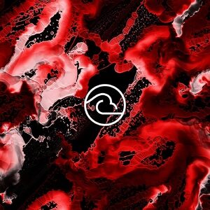 OIBAF&WALLEN - Compass Rose [RC41]