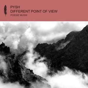 Pysh, LADS - Different Point of View [POM128]