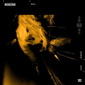 Rebuke - Wasp [DC239]