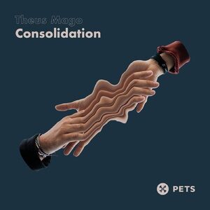 Theus Mago - Consolidation EP [PETS134]