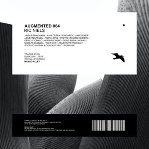 VA - Augmented 004 / Ric Niels [ALLEYAUG004]
