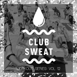VA - Workout Series, Vol. 12 [CLUBSWE312]
