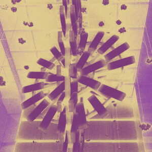 NEAT (Stockholm) - Lavish All Around [EXPDIGITAL215]
