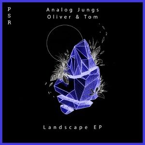 Analog Jungs, Oliver & Tom - Landscape EP [PSR030]
