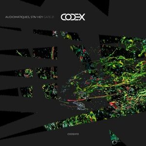 Audiomatiques, Stiv Hey - Gate 21 [CODEX113]