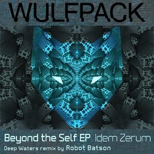 Idem Zerum - Beyond the Self [WULF050]