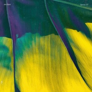 Jon Gurd - Spaces EP [ANJDEE584BD]