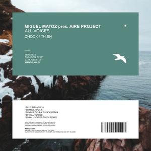Miguel Matoz, Aire project - All Voices [ALLEY143]