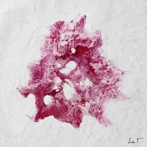 Minorah - With Me [LT0037]