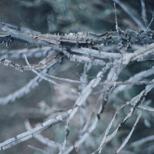 Mundos Sutis - Solar Logos [7V108]