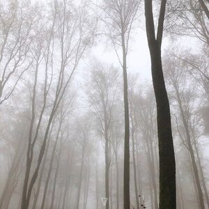 Odagled, Bar.ba, Arteforma - Unity Nine [7V107]