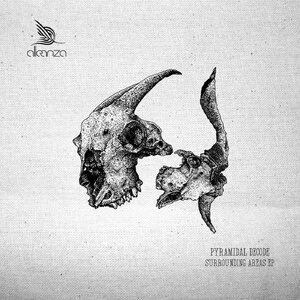 Pyramidal Decode - Pyramidal Decode [ALLE157]