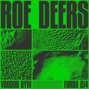 Roe Deers - Voodoo Gym [TURBO214D]