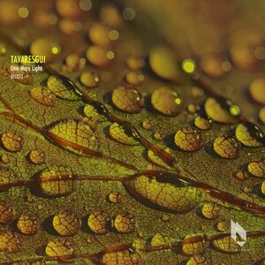 Tavaresgui - One More Light [BFL073]