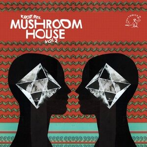 VA - Kapote pres Mushroom House Vol. 2 [TOYT116]