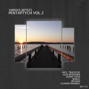 VA - Pentaptych Vol.2 VA [PLT175]