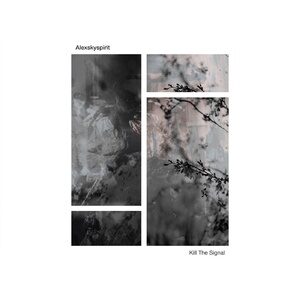 Alexskyspirit - Kill The Signal [EDITSELECT108D]