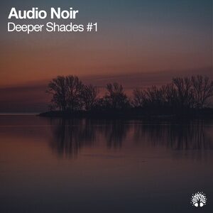 Audio Noir - Deeper Shades #1 [ETREE409]