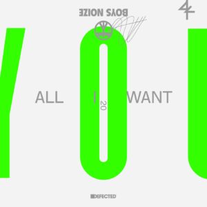 Boys Noize - All I Want (feat. Jake Shears) [DFTD622D2]