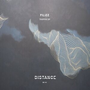 Filizz - Trippin EP [DM183]