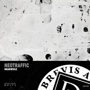 NeoTraffic - Meanwhile [DDW128]