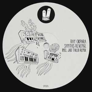 Ray Okpara - Synths Revenge [SFN245]