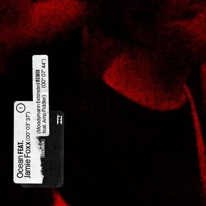 Solomun - Ocean (feat. Jamie Foxx & Amp Fiddler) [Moodymann Extended Remix] [4050538690705]