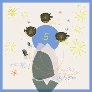 VA - 5 Years - A Bunte Kuh Collection [BK020]