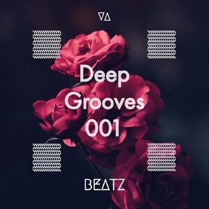 VA - Deep Grooves 001 [BTZ150]