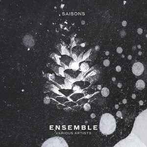 VA - Ensemble [SAISONSVA02]