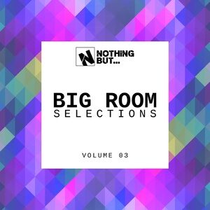 VA - Nothing But... Big Room Selections, Vol. 03 [NBBRS03]