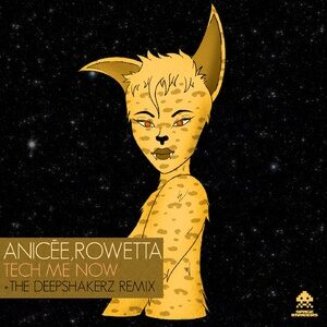 Anicée, Rowetta - Tech Me Now [SPACEINVDRS51]