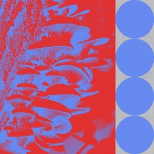 Budakid - Ringo Bingo Remixes [EXPDIGITAL217S]