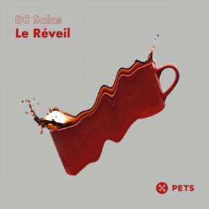 DC Salas - Le Réveil [PETS137]