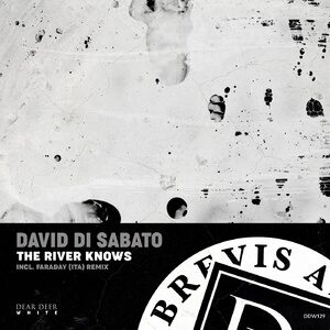 David Di Sabato - The River Knows [DDW129]