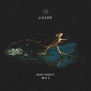 Davix Project - Wet - Extended Mix [BL2113DJ]