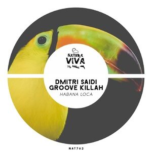 Dmitri Saidi, Groove Killah - Habana Loca [NAT762]