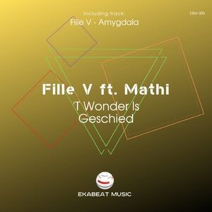 Fille V, Mathi - 'T Wonder Is Geschied [EBM005]
