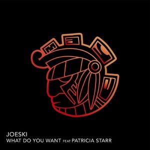 Joeski - What Do You Want Feat Patricia Starr [MAYA196]