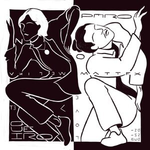 Matt FX - A Love Beginning / Pero No Te Quiero [WLM97]