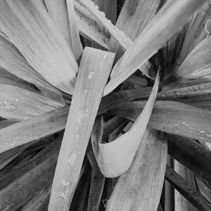 Microlot - Afterglow [7V110]